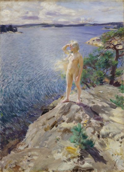 Nelle scogliere da Anders Leonard Zorn